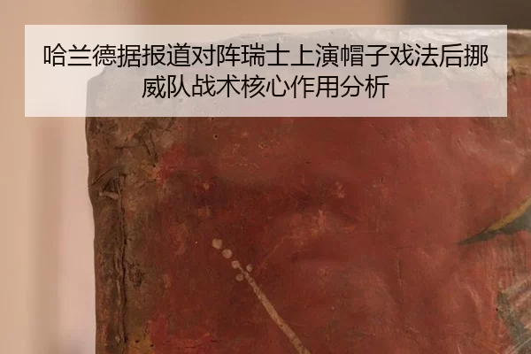 ha-lan-de-ju-bao-dao-dui-zhen-rui-shi-shang-yan-mao-zi-xi-fa-hou-nuo-wei-dui-zhan-shu-he-xin-zuo-yong-fen-xi-2-378.jpg