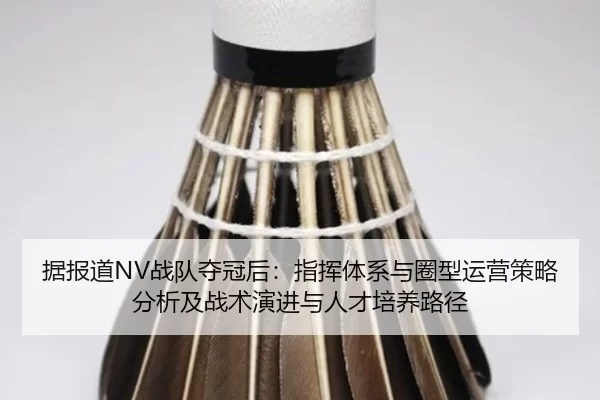据报道NV战队夺冠后：指挥体系与圈型运营策略分析及战术演进与人才培养路径