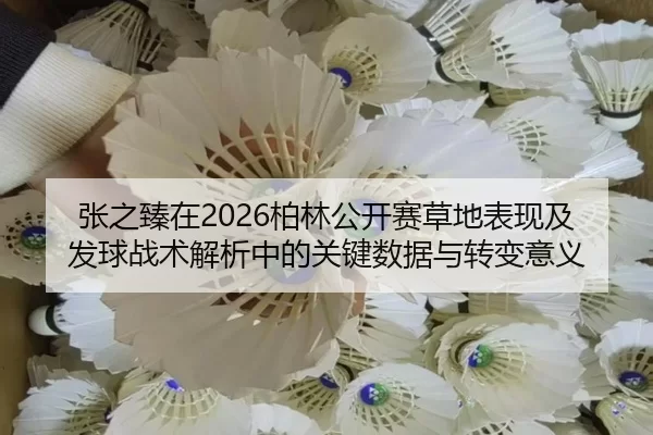 zhang-zhi-zhen-zai-bo-lin-gong-kai-sai-cao-di-biao-xian-ji-fa-qiu-zhan-shu-jie-xi-zhong-de-guan-jian-shu-ju-yu-zhuan-2-216.jpg