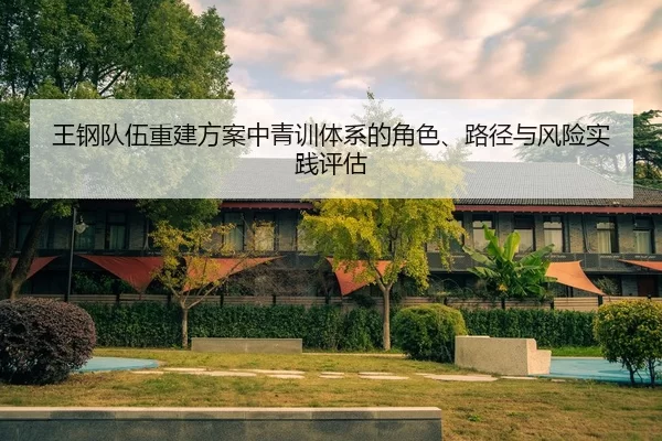 王钢队伍重建方案中青训体系的角色、路径与风险实践评估